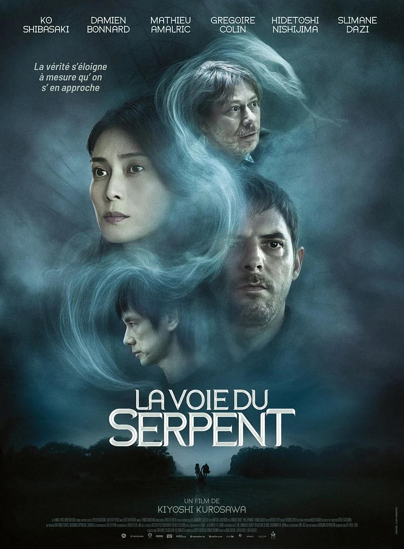 Affiche du film : La Voie du Serpent